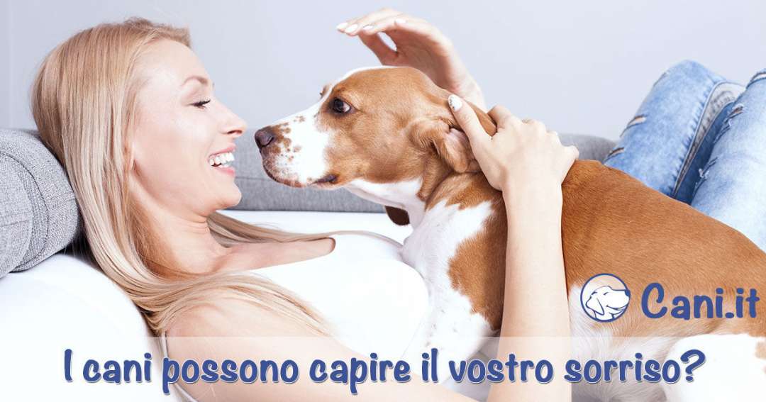 I cani sorridono davvero? Ecco cosa esprime il sorriso dei nostri amici a  quattro zampe - greenMe