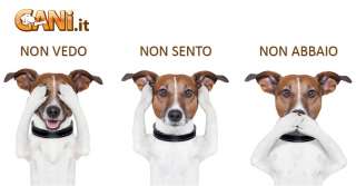 Le razze canine più 