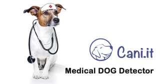 Cani medical detector