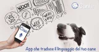 Google Animal Translate: l'App rivoluzionaria che traduce il linguaggio dei cani