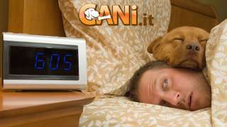 È sbagliato dormire col cane?