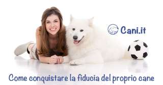 Come conquistare la fiducia del proprio cane