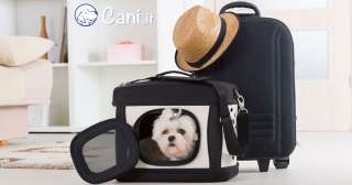 Come viaggiare con il cane