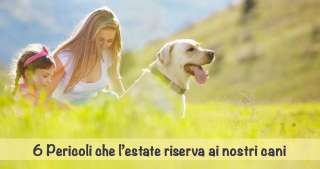 I 6 pericoli che l’estate riserva ai nostri cani