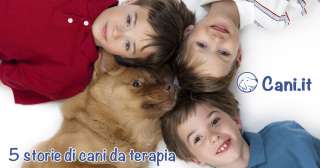 5 storie di cani da terapia