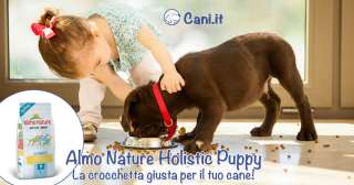 Almo Nature Holistic Puppy, la crocchetta giusta per il tuo cucciolo