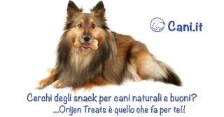 Cerchi degli snack per cani naturali e buoni? Orijen Treats è quello che fa per te!