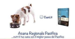 Acana Regionals Pacifica, nutri il tuo cane con il miglior pesce del Pacifico