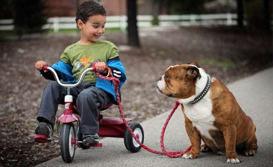 Il grande amore del cane per i bambini