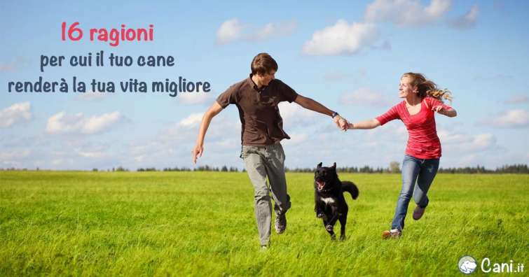 16 ragioni per cui il tuo cane renderà la tua vita migliore