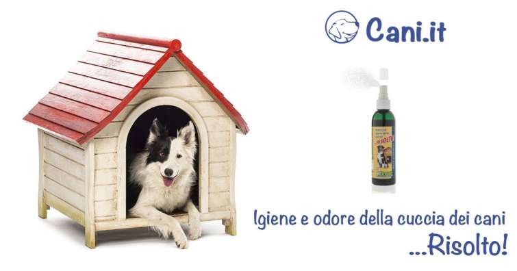 Igienizza e controlla gli odori della cuccia del tuo cane con uno spray