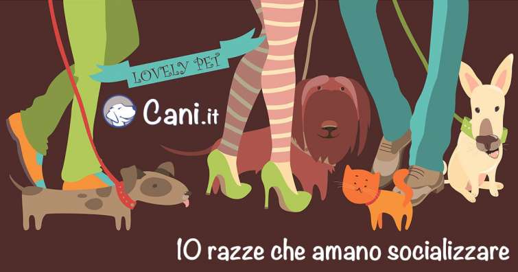 10 razze che amano socializzare