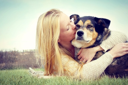 I migliori distributori di crocchette per coccolare cani e gatti