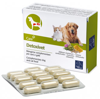 Depur l'intestino del tuo pet con Detoxivet